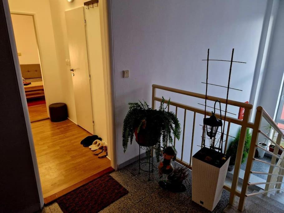 Slnecny Byt V Blizkosti Historickeho Centra Trenčín Kültér fotó
